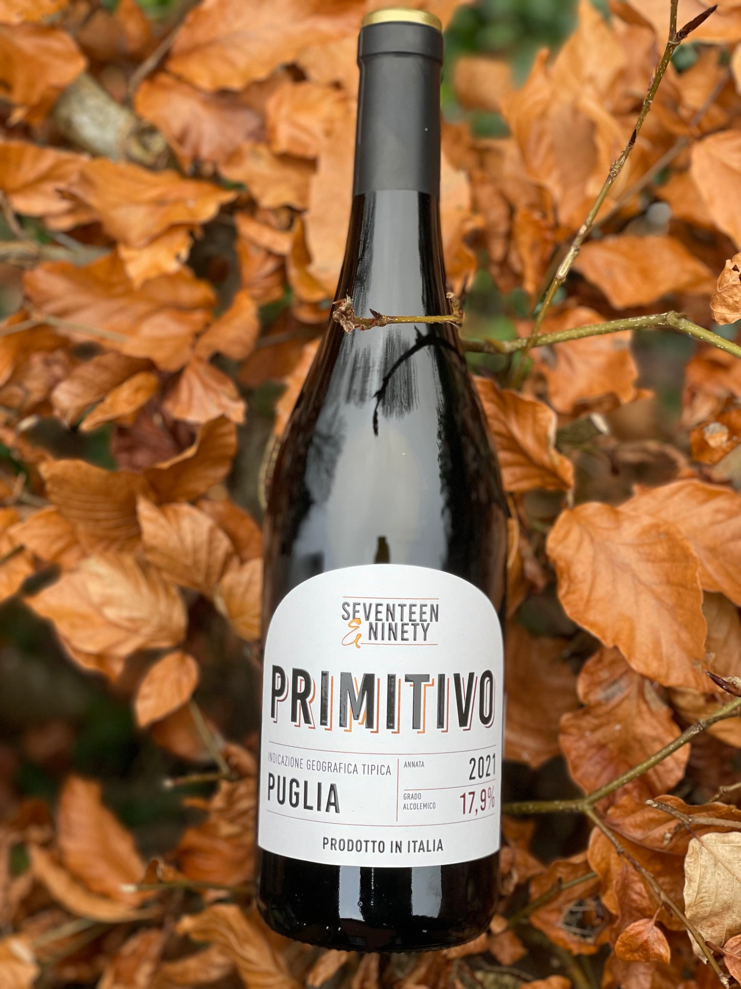 2021 Primitivo