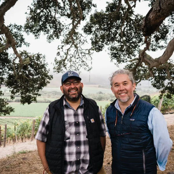 Sandhi Wines · Stemningsbillede 1