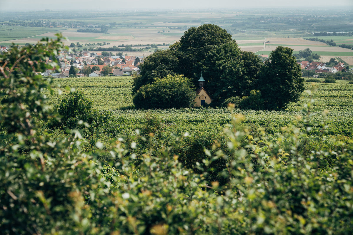 Pfalz