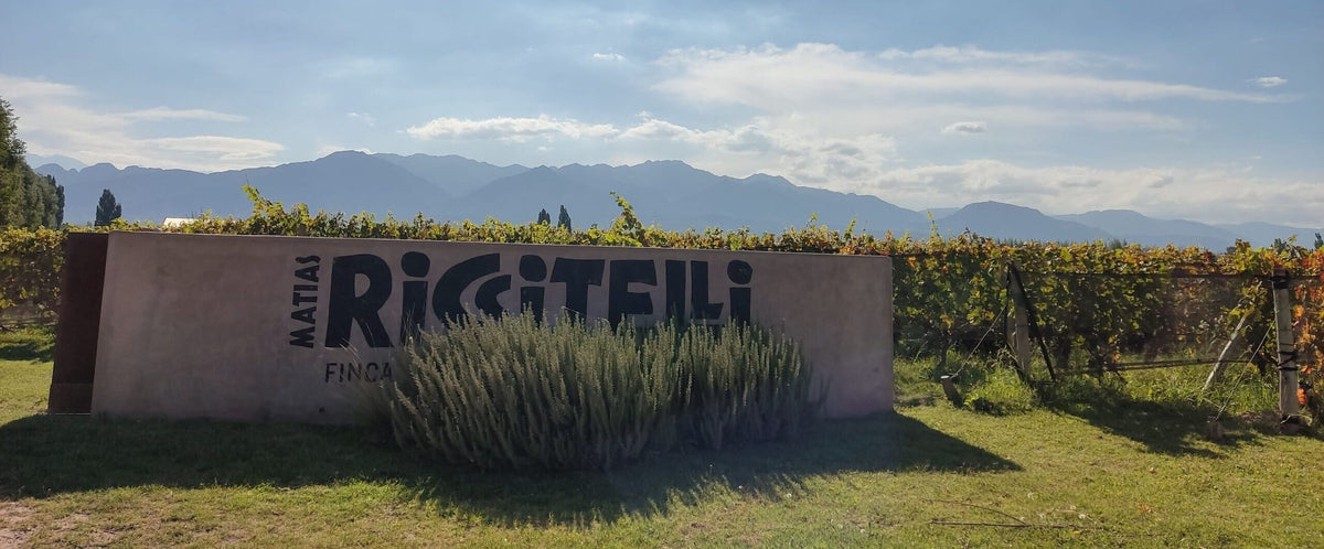 Matías Riccitelli · Bannerbillede