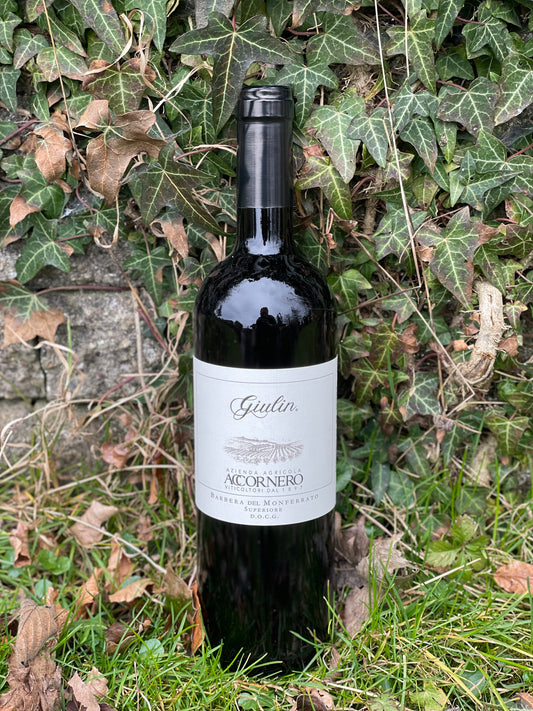 2022 Barbera del Monferrato "Giulin"