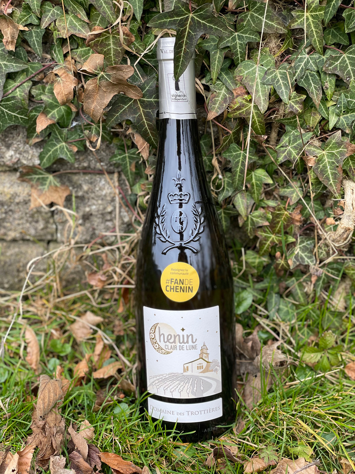 2024 Chenin Blanc "Clair de Lune"