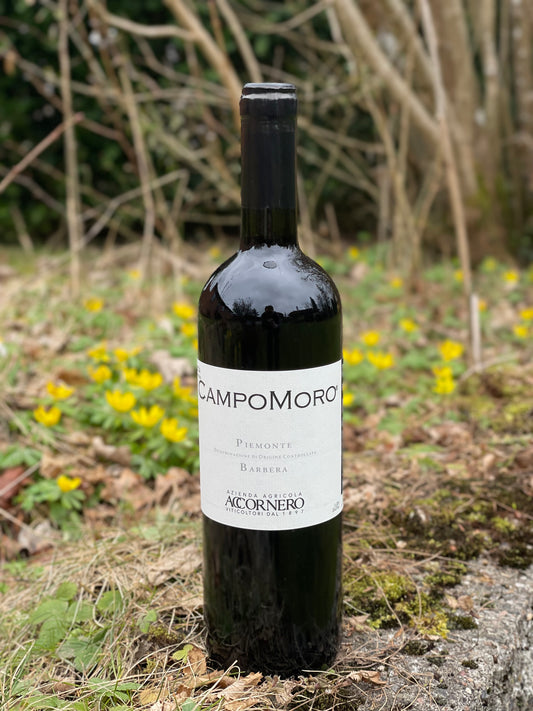 2024 Barbera Campomoro