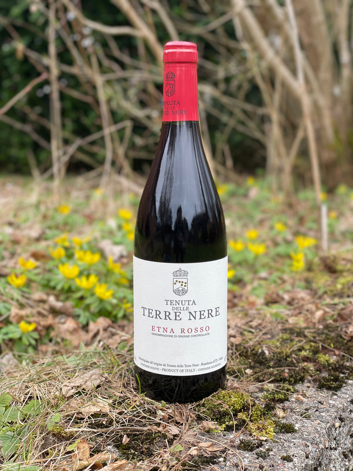 2024 Etna Rosso