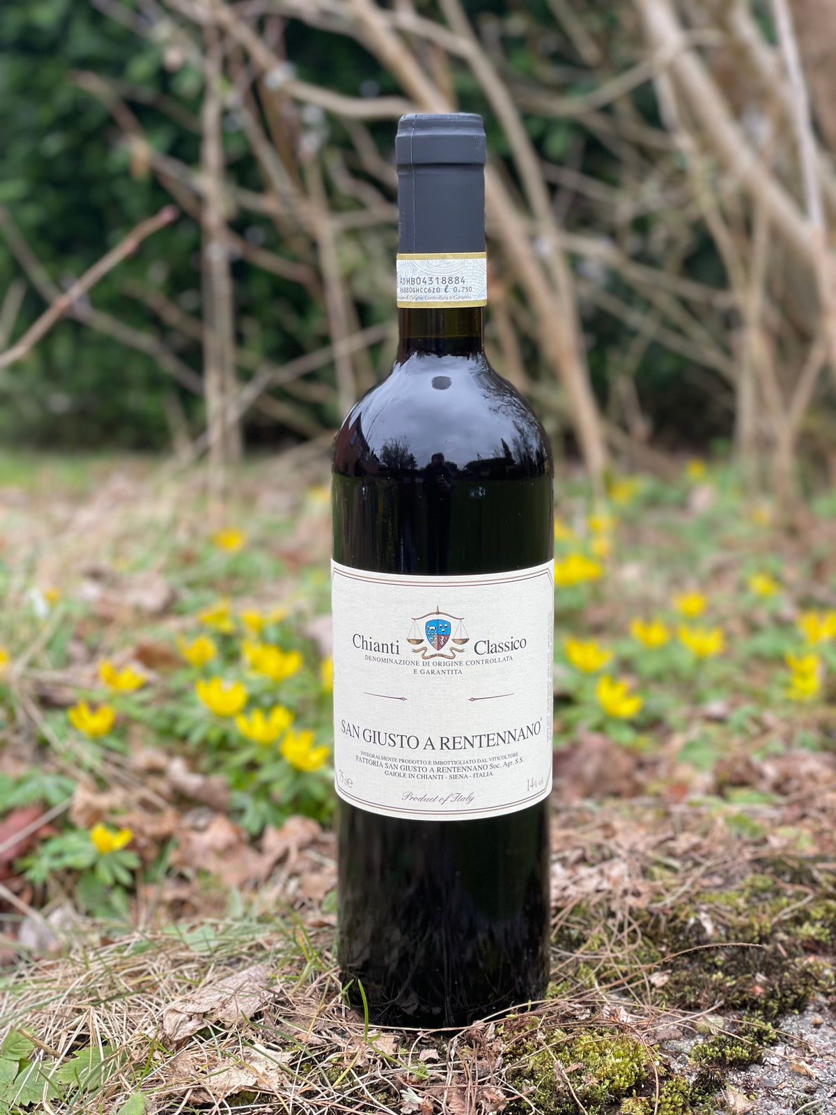 2023 Chianti Classico