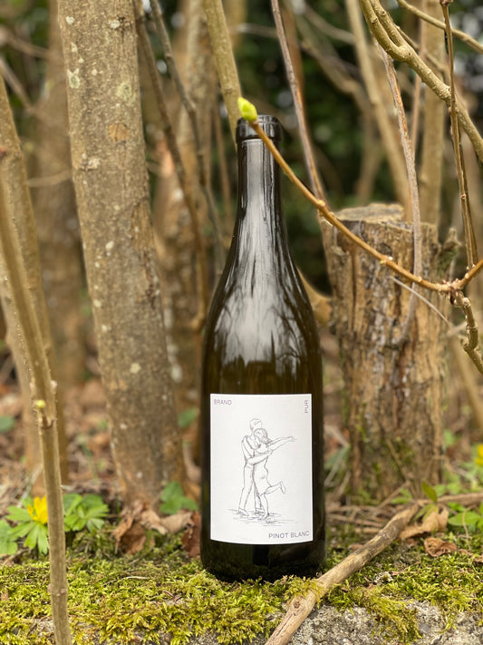 2023 Pinot Blanc