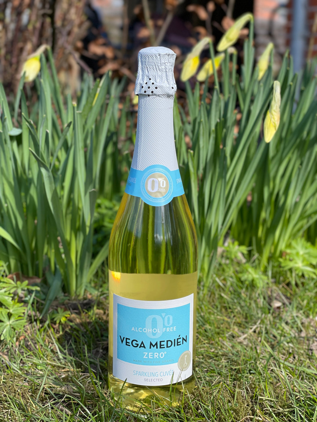 Vega Medien 0,0 alkoholfri