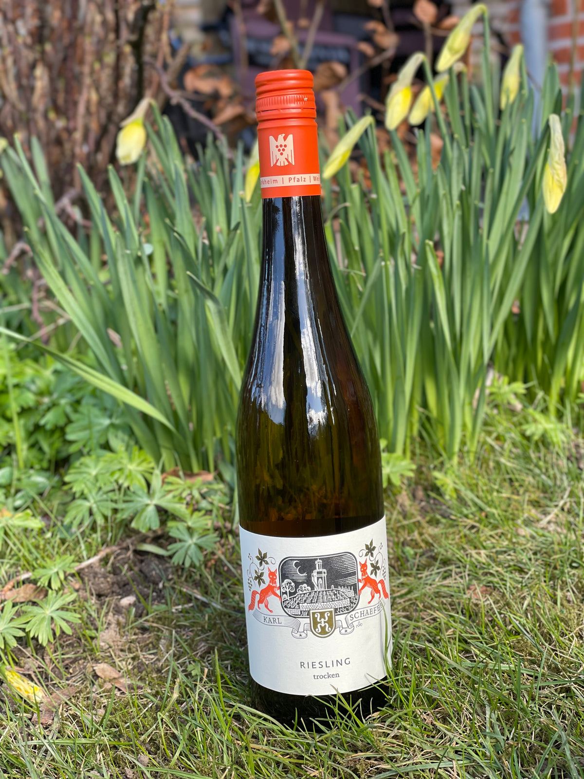2024 Riesling Trocken