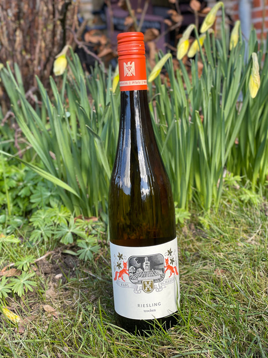 2024 Riesling Trocken