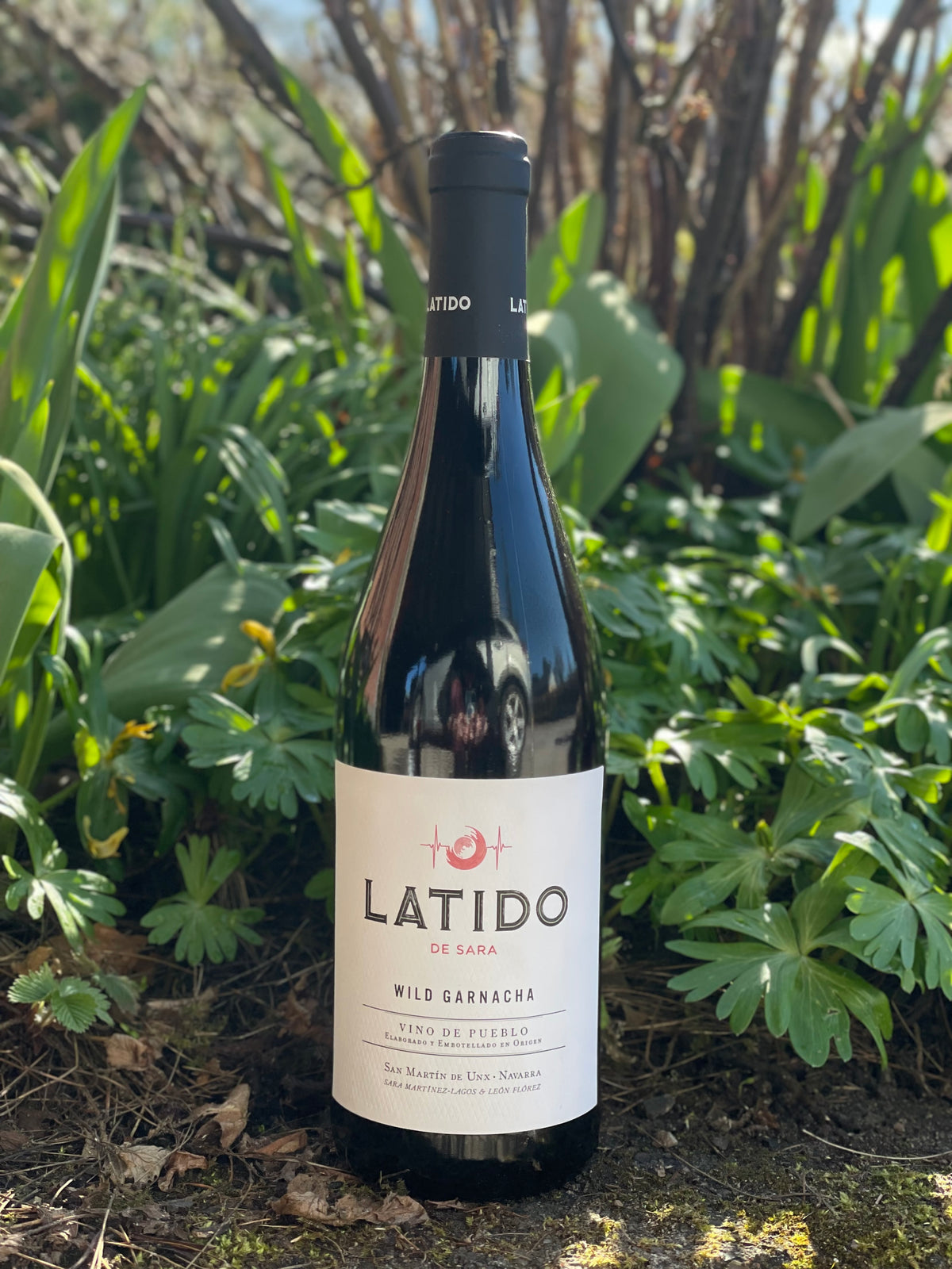 2024 Wild Garnacha