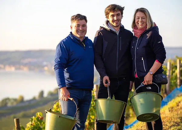 Weingut Keller · Stemningsbillede 1