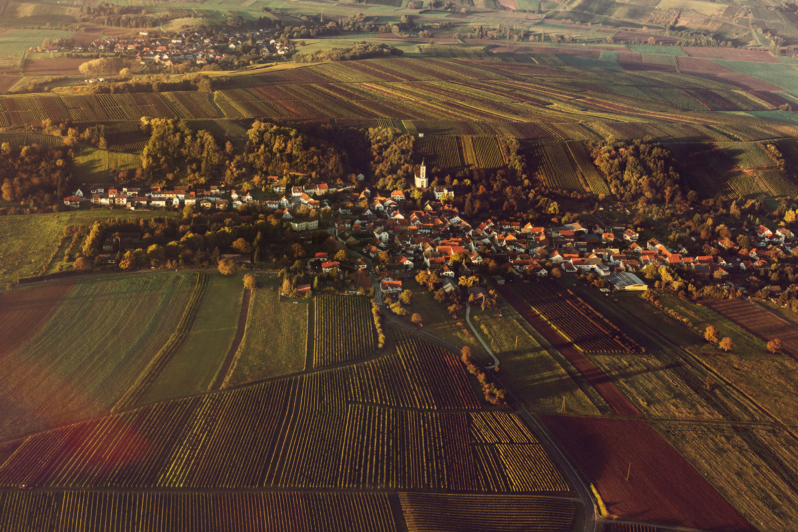 Weingut Baumberger · Bannerbillede