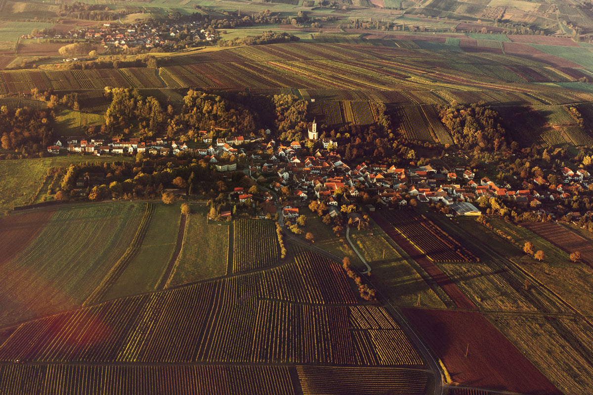 Weingut Baumberger