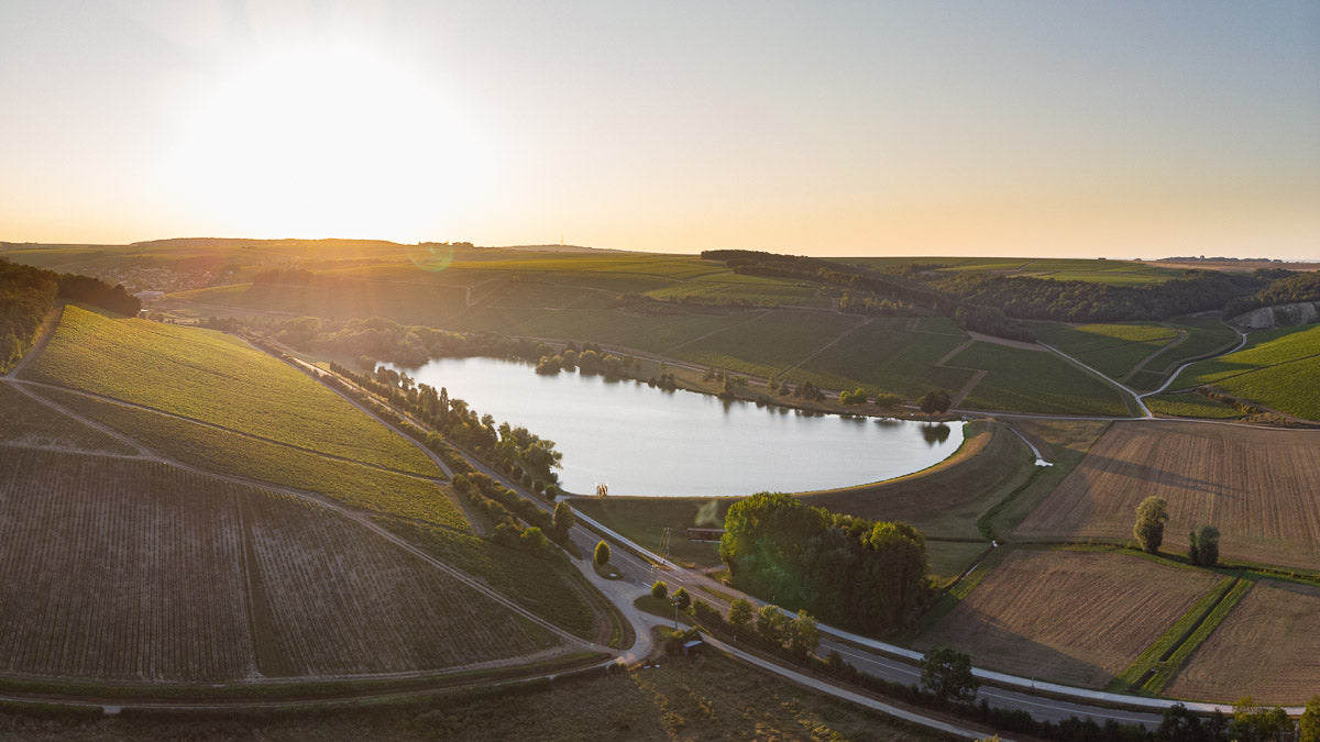 Domaine de la Motte · Stemningsbillede 1