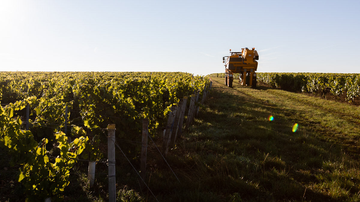 Domaine de la Motte