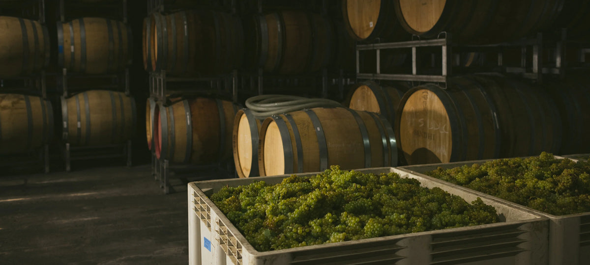 Sandhi Wines · Stemningsbillede 2