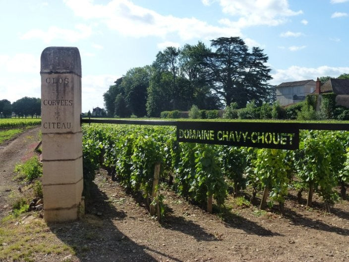 Domaine Chavy-Chouet · Stemningsbillede 2