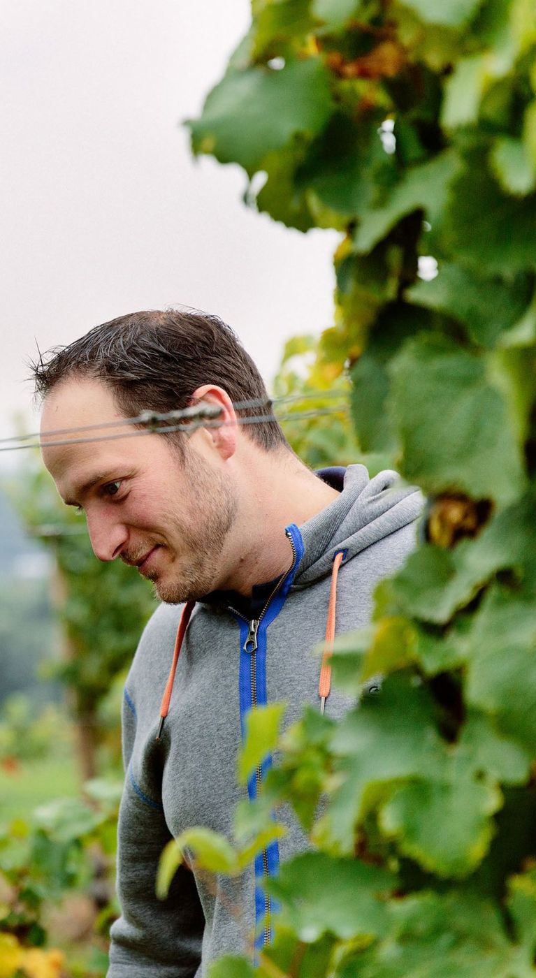 Weingut Jakob Jung · Stemningsbillede 1