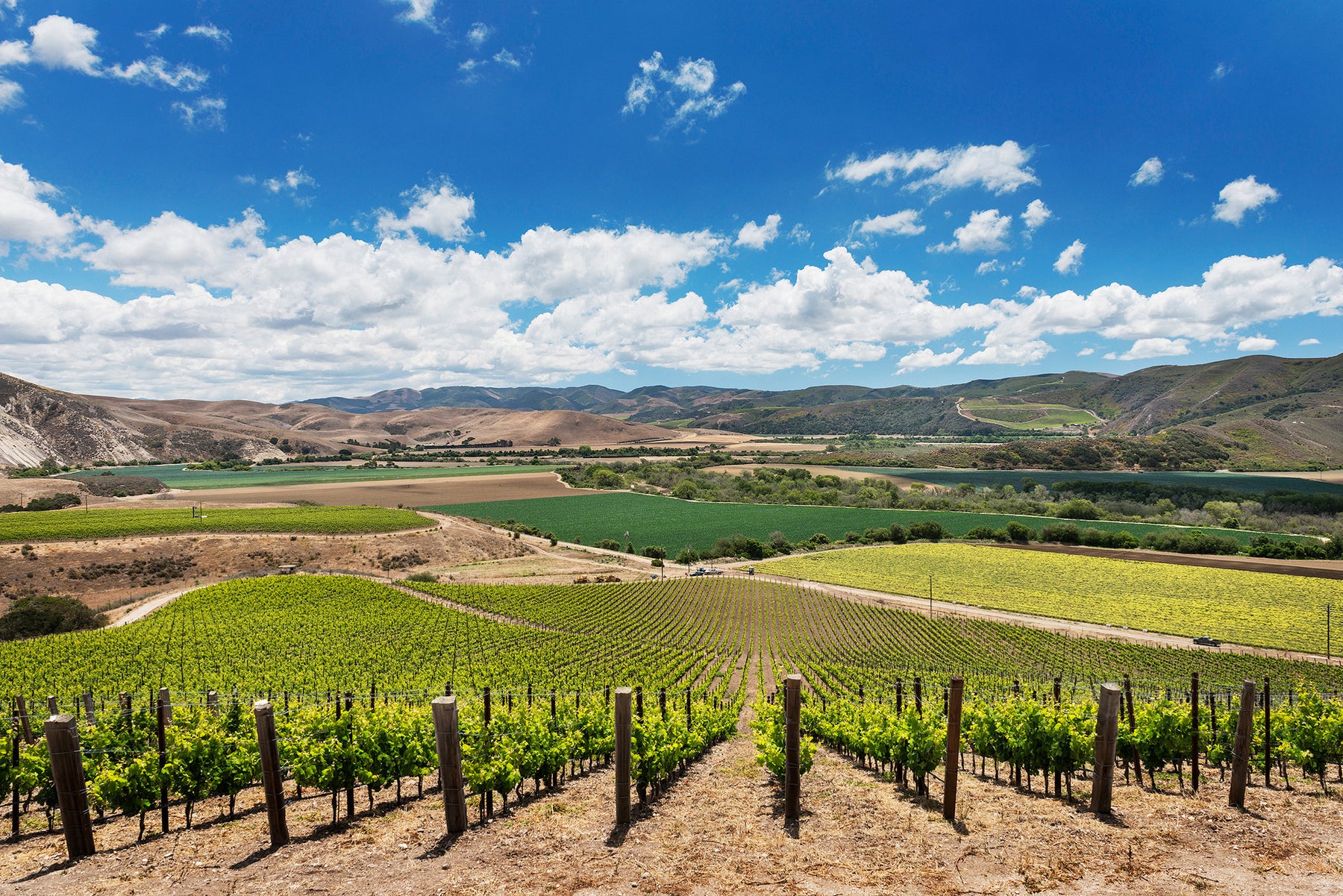 Domaine de la Côte · Bannerbillede