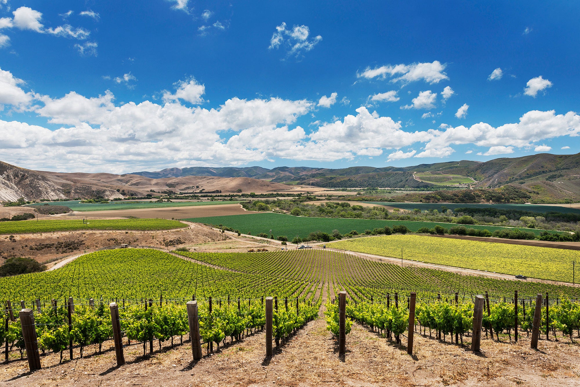 Domaine de la Côte
