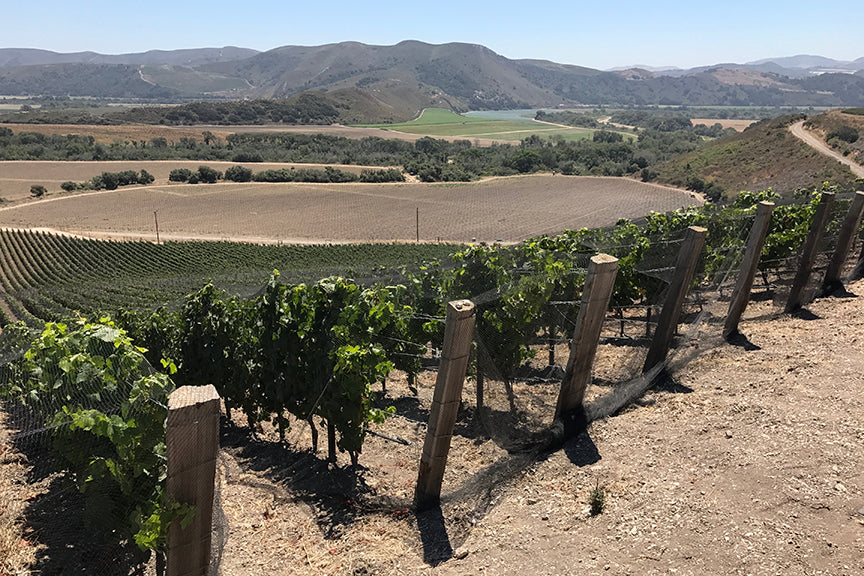 Domaine de la Côte · Stemningsbillede 2