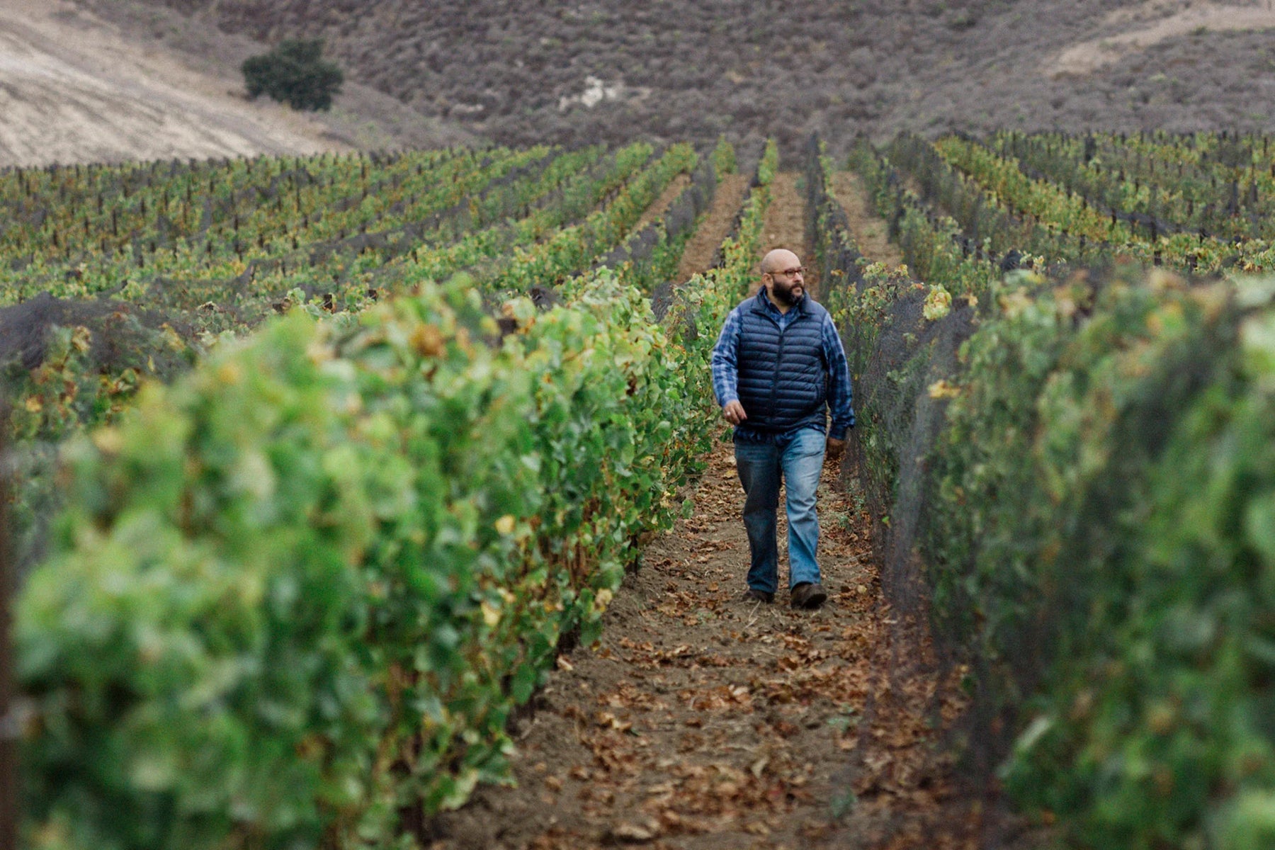 Domaine de la Côte · Stemningsbillede 1
