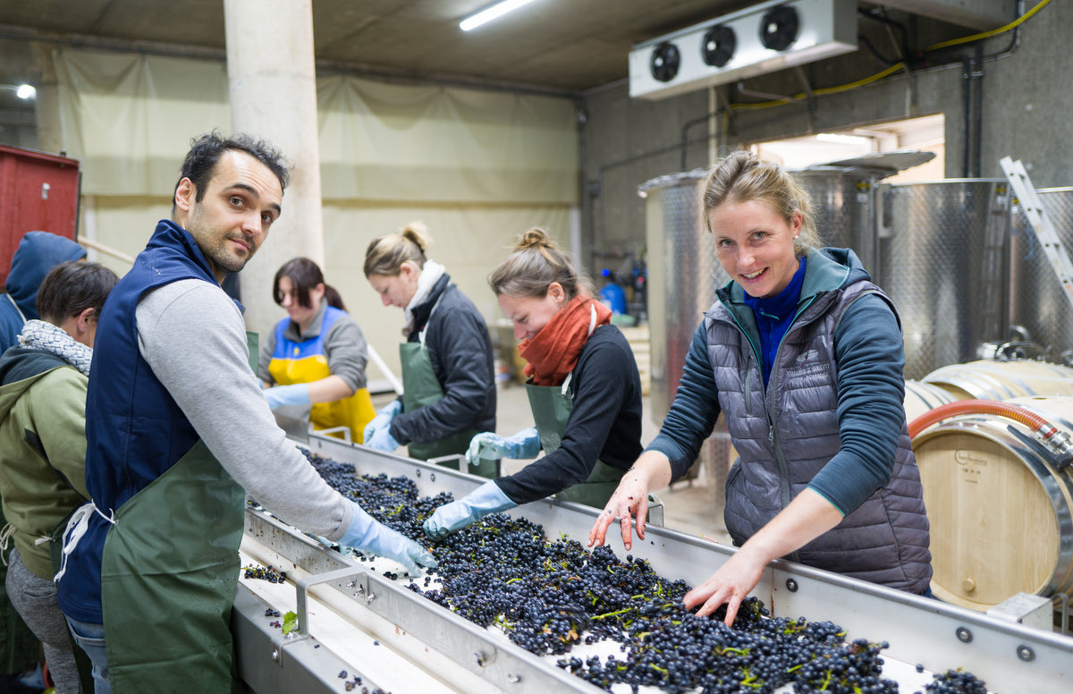 Domaine Jean Grivot · Bannerbillede