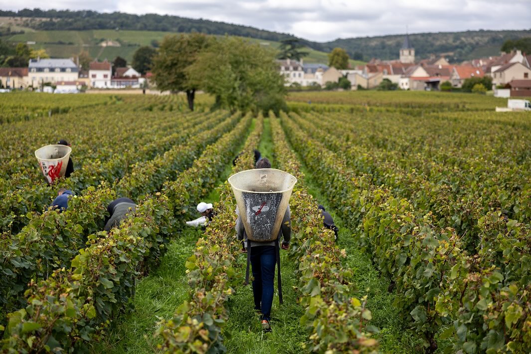Bourgogne