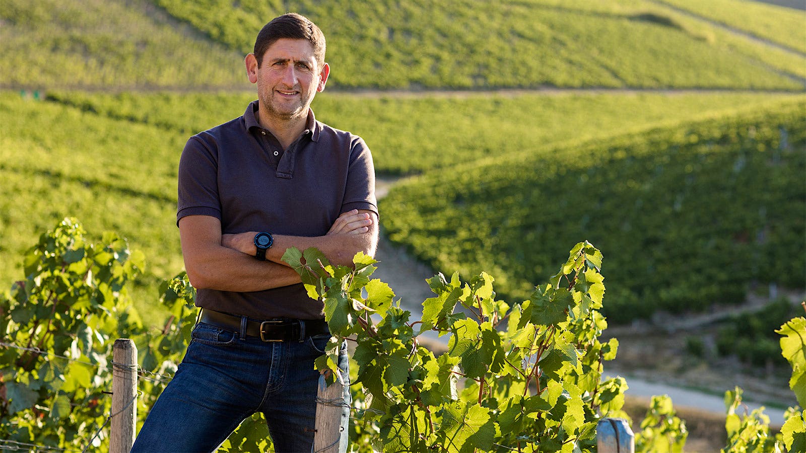 Domaine William Fèvre · Stemningsbillede 1