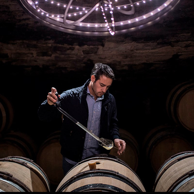 Domaine Chavy-Chouet · Stemningsbillede 1