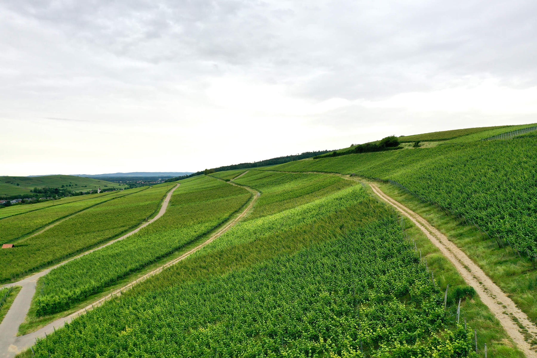 Weingut Wasenhaus · Stemningsbillede 2