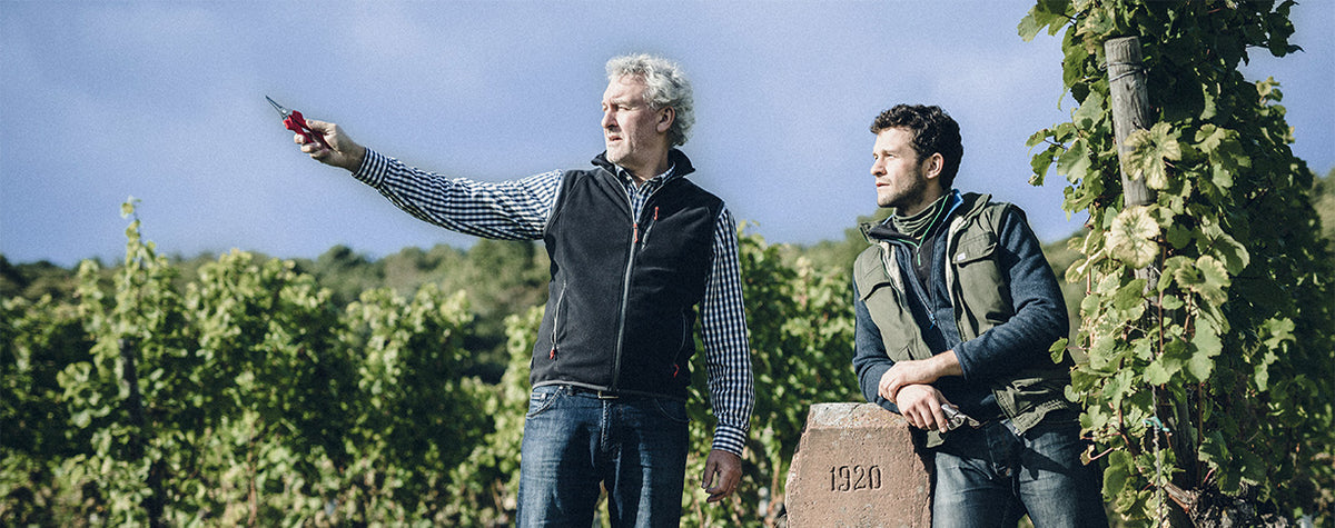 Weingut Jülg · Bannerbillede