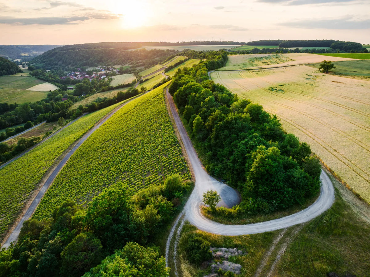 Winzerhof Stahl · Stemningsbillede 2
